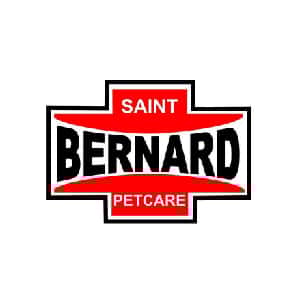 Saint Bernard