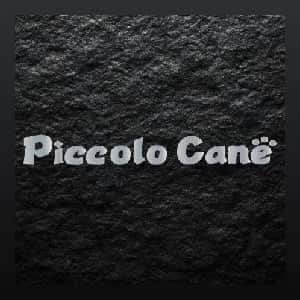 Piccolo Cane