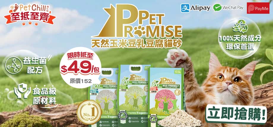 American Journey 強勢試食價$259