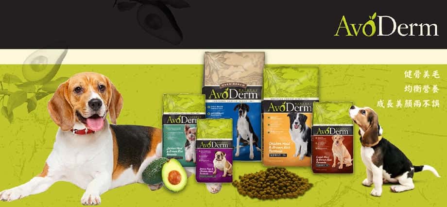 avoderm dog food review - avoderm dog food sensitive stomach - canidae dog food - avoderm 狗粮 - avoderm 牛油果狗粮 - astro cat評價 - astro cat無穀物貓糧成分 - PetChill 寵物用品店