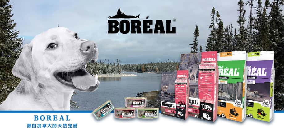 boreal - boreal貓飼料 - boreal 貓 糧 - boreal 貓 飼料 評價 - boreal 貓 糧 評價 - boreal 貓罐 - boreal 貓糧好唔好 - boreal 貓 - boreal 狗飼料 - boreal 狗飼料評價 - boreal狗糧好唔好 - boreal 狗糧 - PetChill 寵物用品店