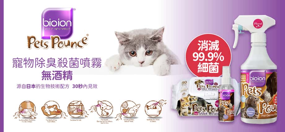 bioion pets pounce - bioion - bioion pets - bioion寵物 - PetChill 寵物用品店