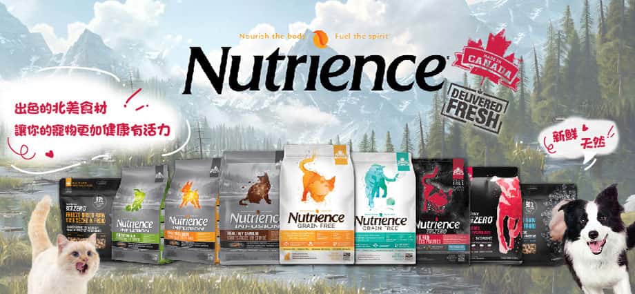 nutrience - nutrience subzero - nutrience貓糧評價 - nutrience狗糧 - nutrience subzero貓糧評價 - nutrience貓糧成份 - nutrience貓糧試食 - nutrience幼貓糧好唔好 - nutrience凍乾 - nutrience狗糧評價 - nutrience subzero狗糧 - nutrience貓糧 - PetChill 寵物用品店