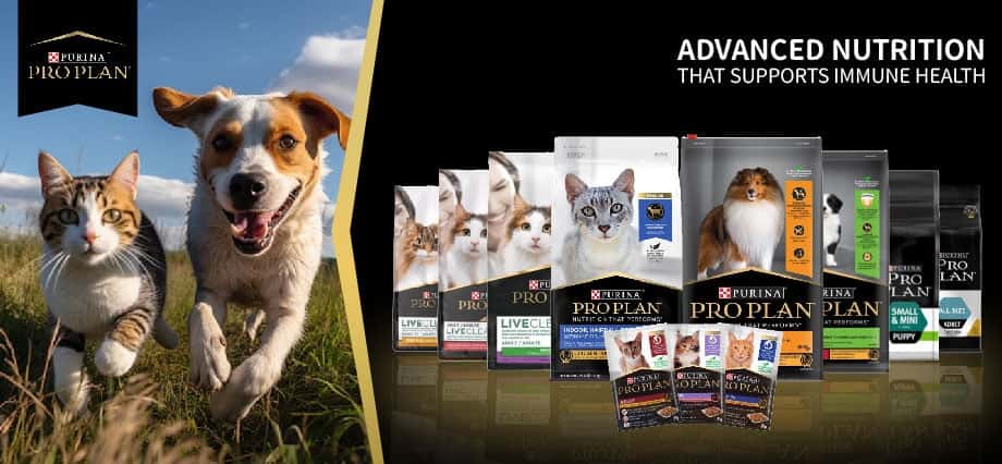 purina - pro plan - purina proplan - purina pro plan怎麼樣 - purina pro plan舒敏係列 - purina pro plan貓糧 - purina貓糧好唔好 - proplan幼貓糧 - proplan貓糧評價 - purina pro plan好唔好 - proplan狗糧好唔好 - 冠能狗糧 - 冠能貓糧怎麼樣 - PetChill 寵物用品店